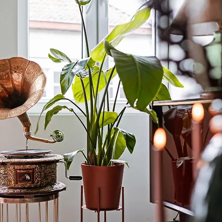 Unbeatable Location Explore On Foot! 아파트