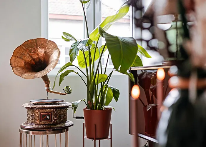 Unbeatable Location Explore On Foot! Apartment